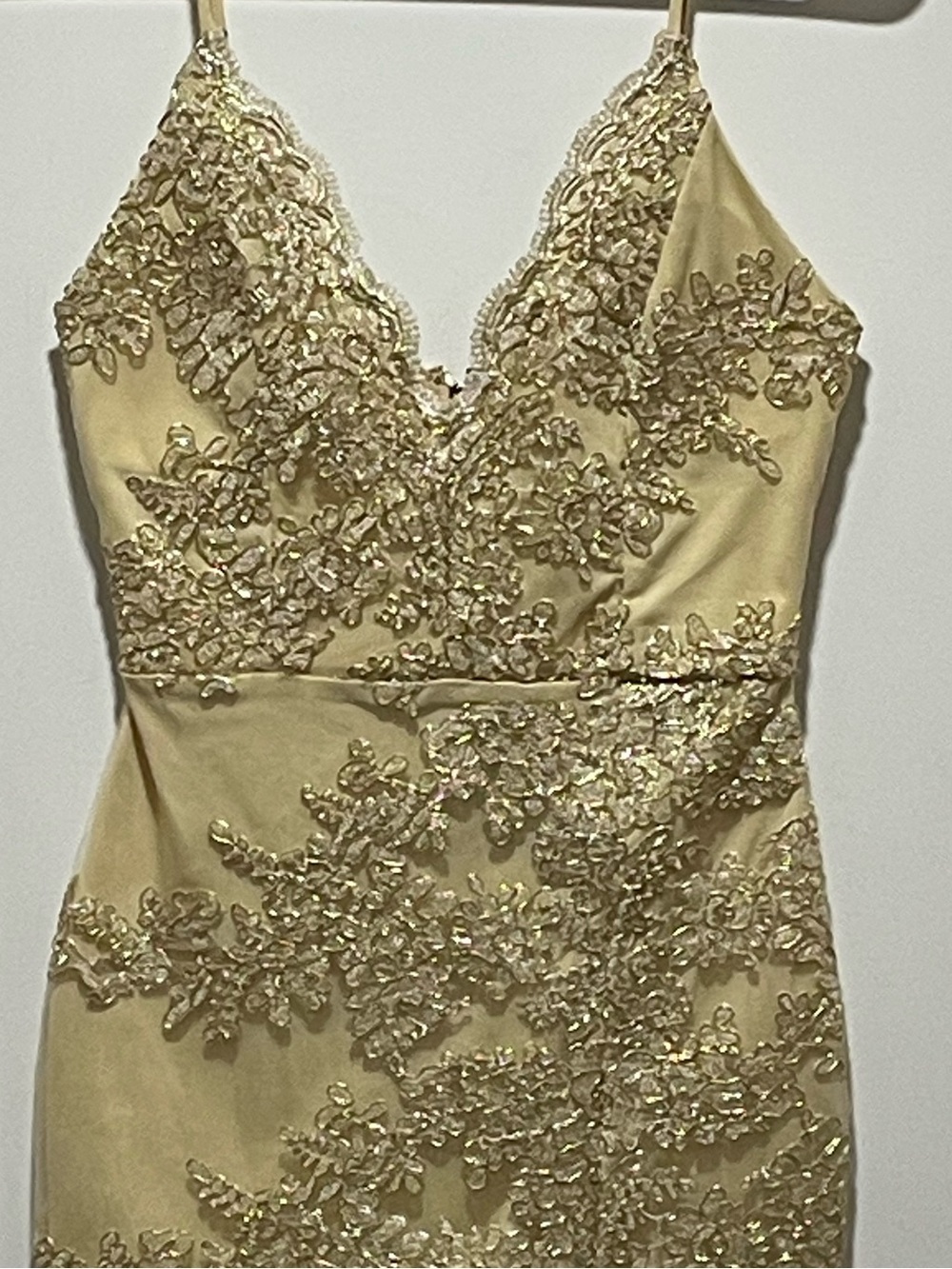 Windsor Bodycon Womens XS? Lace Embroidered Slip Dress Scalloped V-Neck No Tag - Picture 4 of 12